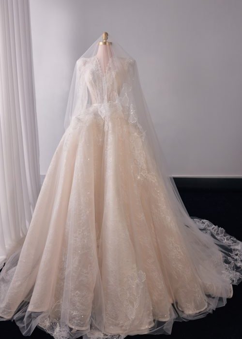 Váy Ren Tay Dài Sang Trọng